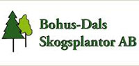 bohus-dal-skogsplantor